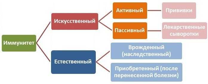 Выберите примеры создания искусственного пассивного иммунитета