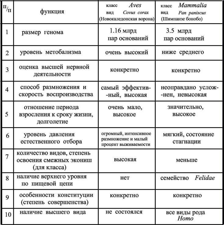 сравнительная таблица типов беспозвоночных школьный курс биологии. зоология общие таблицы. сравнительная зоология. характеристика типов беспозвоночных животных. сравнительная таблица зоология.