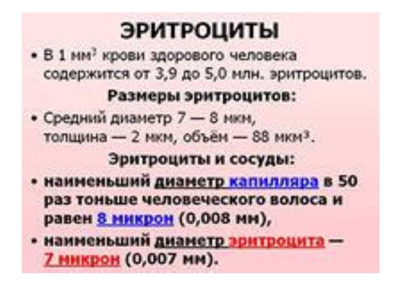 Размер эритроцита. Диаметр эритроцита человека. Эритроциты Кол во в 1мм3. Размер эритроцита человека.