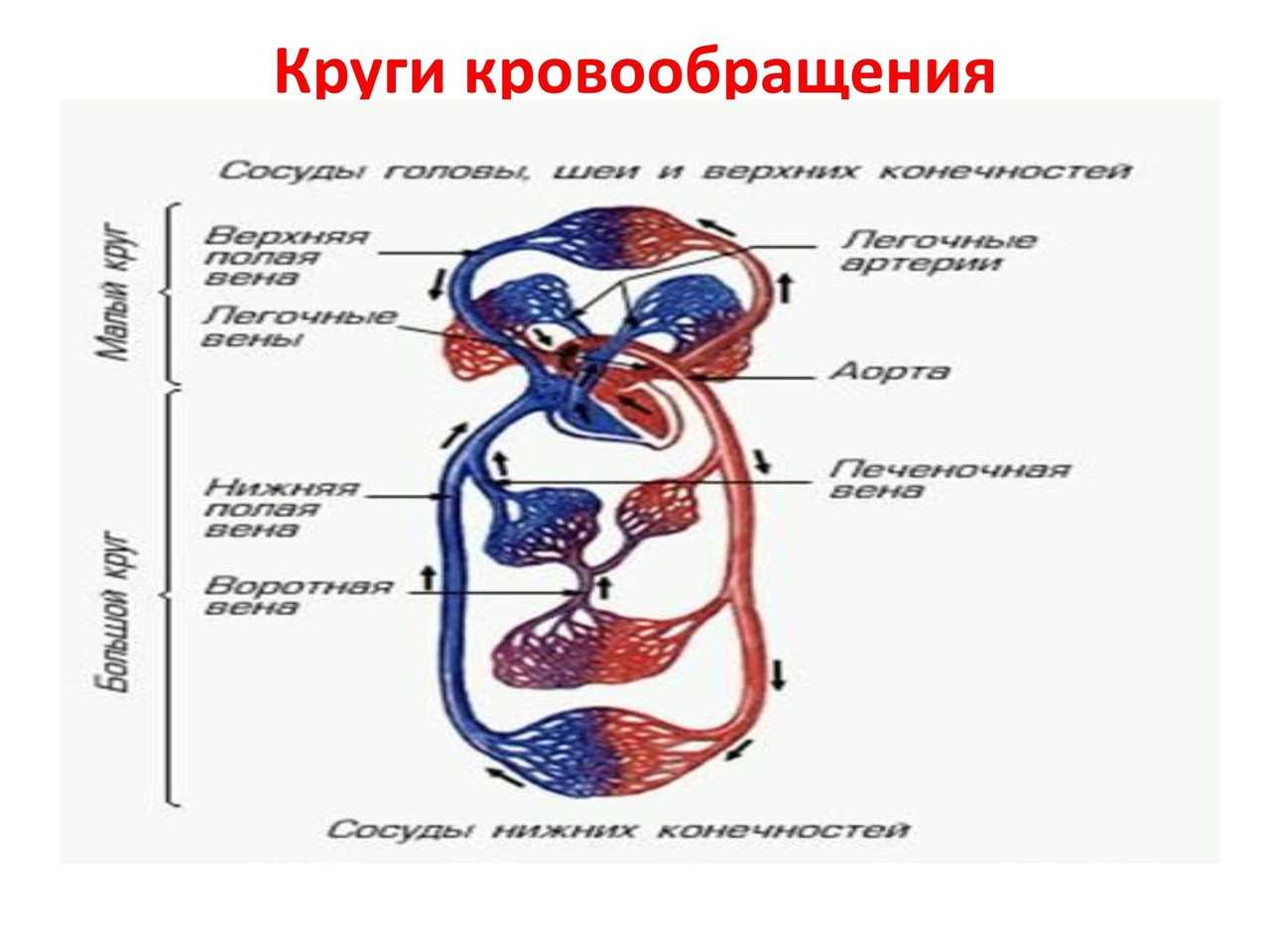 Онлайн заявка во все микрозаймы