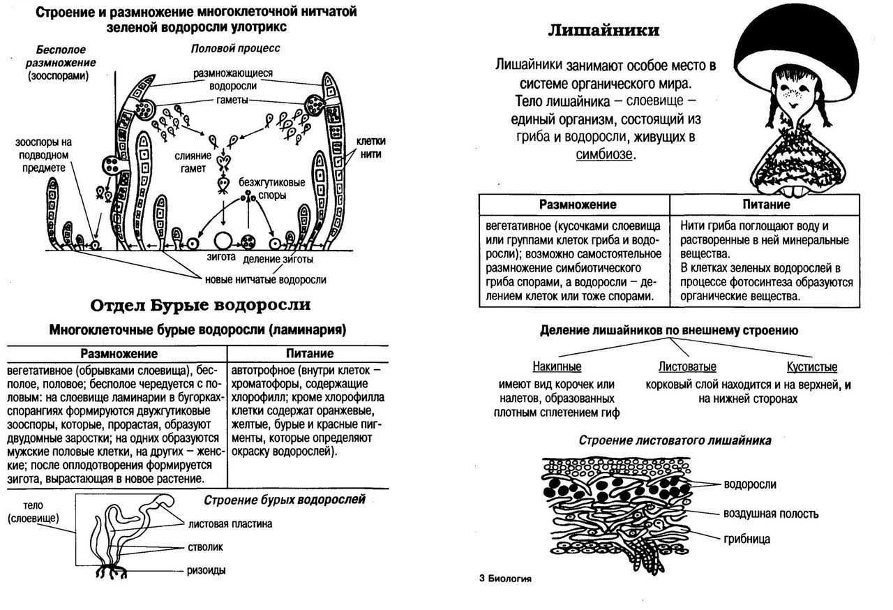 Егэ биология теория в таблицах и схемах