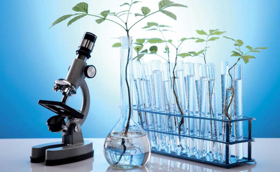 Лабораторные исследования растений