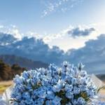 Шейрон Абдусаттарова